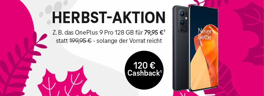 Herbst-Aktion � Es fallen nicht nur die Bl�tter sondern auch die Preise